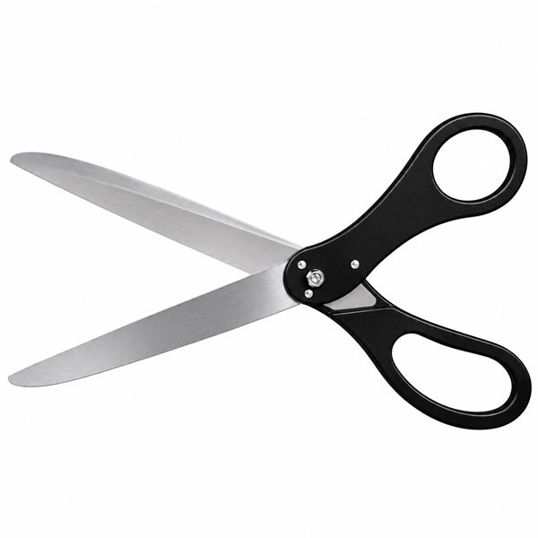 Schaar zwart 29cm